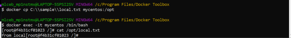 docker-cp-local-container